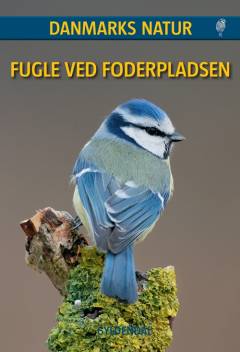 Fugle ved foderpladsen