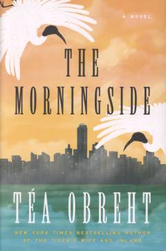 The Morningside : a novel