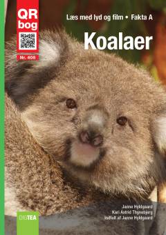 Koalaer