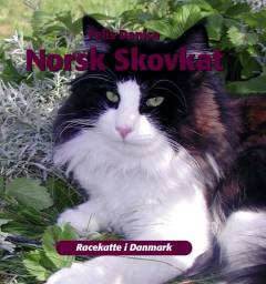 Norsk skovkat