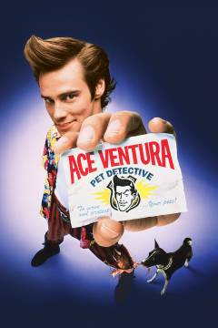 Film (dvd), 2007