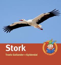 Stork
