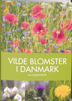 Vilde blomster i Danmark og Nordeuropa
