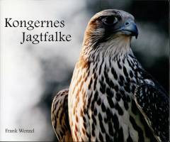 Kongernes jagtfalke fra Island og Grønland