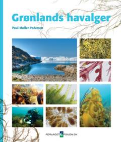 Grønlands havalger