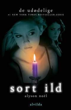Sort ild