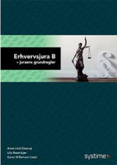 Erhvervsjura B : juraens grundregler