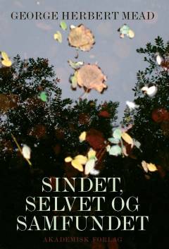Sindet, selvet og samfundet : fra et socialbehavioristisk standpunkt