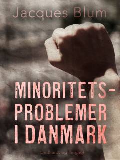 Minoritetsproblemer i Danmark : en samling artikler om etniske minoriteter i Danmark