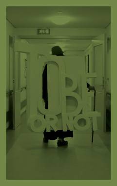 Bog, 2019