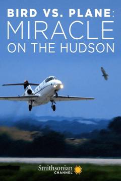 Hudson