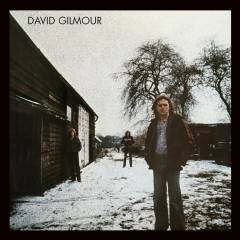 David Gilmour in concert