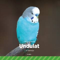 Undulat : et kæledyr
