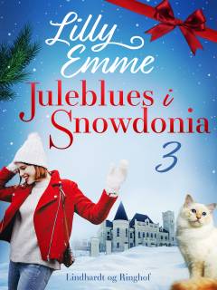 Juleblues i Snowdonia. 3