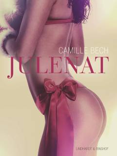 Julenat : en erotisk novelle