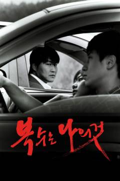 Film (dvd), 2003