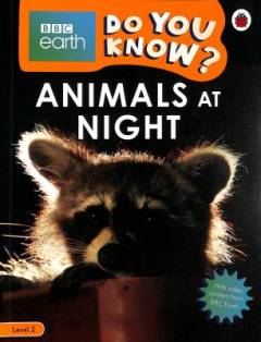 Animals at night