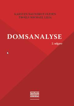 Domsanalyse
