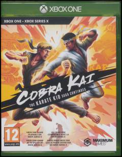 Cobra Kai - The karate kid saga continues