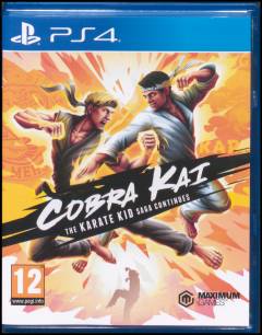 Cobra Kai - The karate kid saga continues