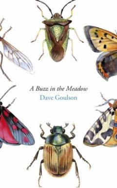 A buzz in the meadow