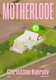 Motherlode : digte