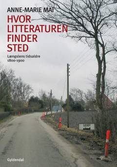 Hvor litteraturen finder sted : bidrag til dansk litteraturs historie. Bind 2 : Længslens tidsaldre - 1800-1900