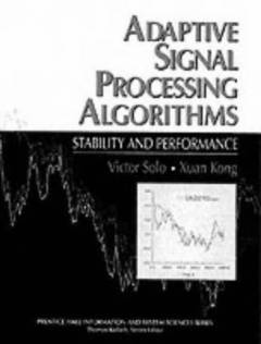 Adaptive signal processing algorithms : stability and performance
