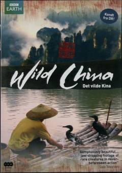 Film (dvd), 2011