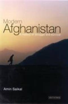 Modern Afghanistan : a history of struggle and survival