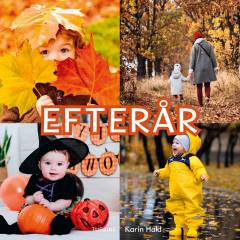 Billedbog, 1. udgave, 2023