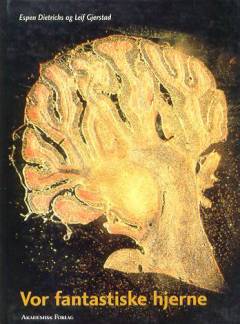 Vor fantastiske hjerne