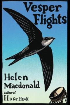 Vesper flights : new and collected essays