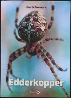 Edderkopper