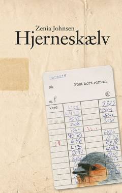 Hjerneskælv : postkortroman
