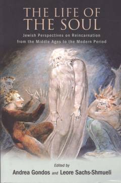 The life of the soul : Jewish perspectives on reincarnation from the Middle Ages to the modern period