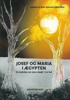 Josef og Maria i Ægypten : en krønike om Jesu slægt i tre led