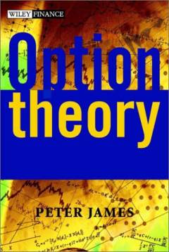 Option theory