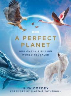 A perfect planet : our one in a billion world revealed