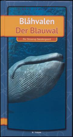 Blåhvalen