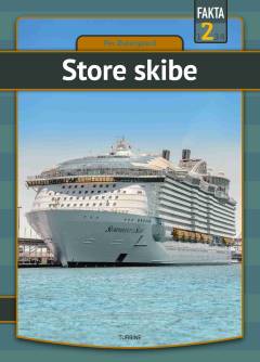 Store skibe