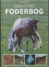 Bog, 2. udgave, 2007