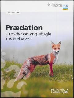 Prædation : rovdyr og ynglefugle i Vadehavet
