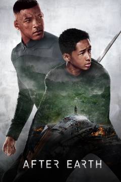Film (dvd), 2013