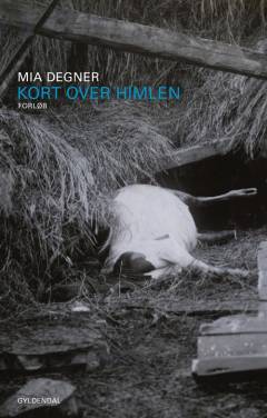 Kort over himlen : forløb