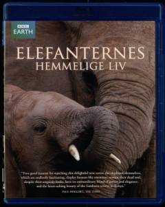 Elefanternes hemmelige liv