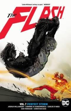 The flash. Vol. 7 : Perfect storm