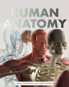 Illustrated human anatomy : the authoritative visual guide to the human body