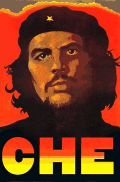 Che Guevara : a revolutionary life
