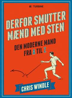 Derfor smutter mænd med sten : den moderne mand fra A til Z